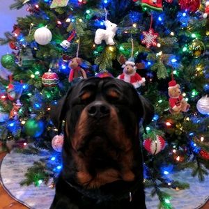 Meet your Posher, Blake